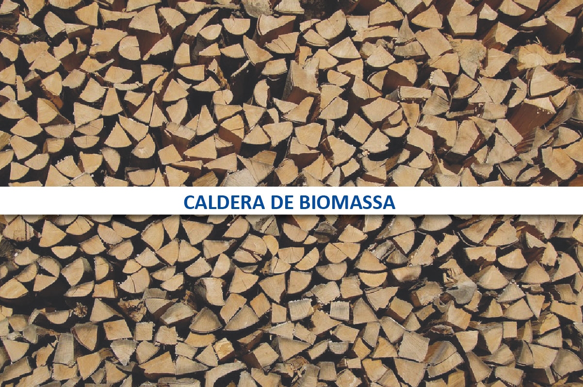 caldera biomassa