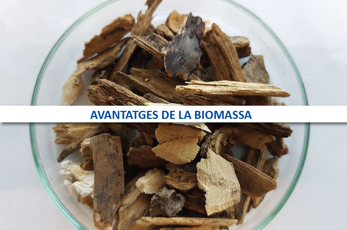 avantatges biomassa