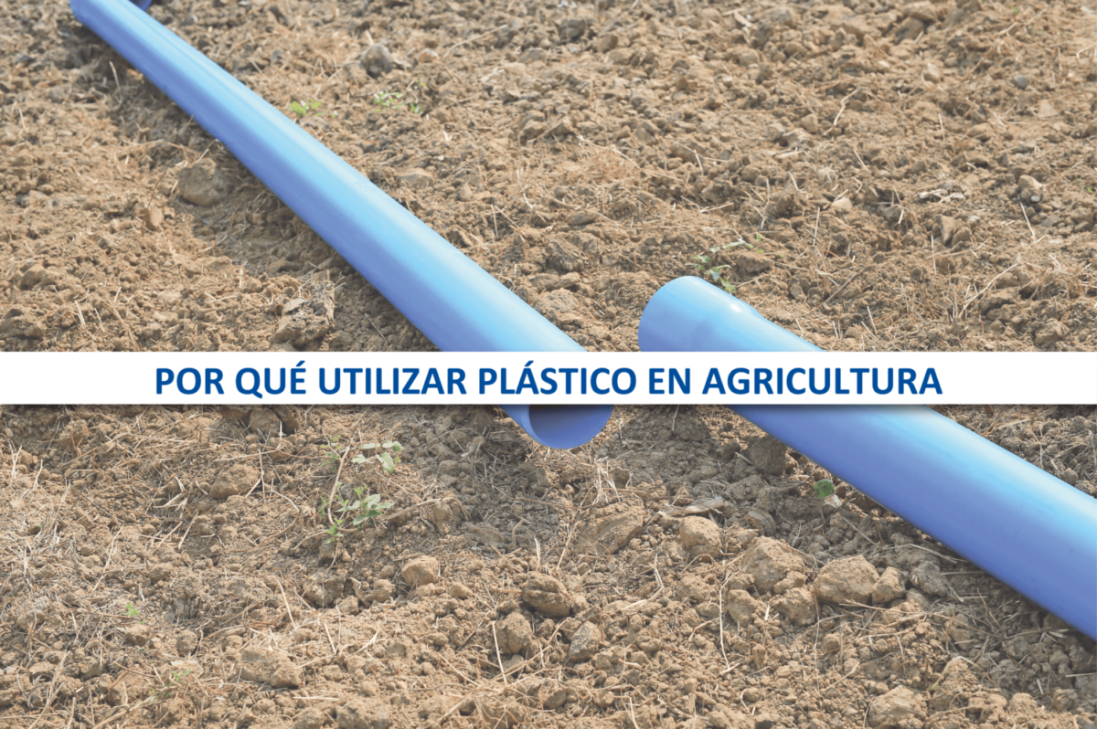 POr que utilizar plástico en agricultura